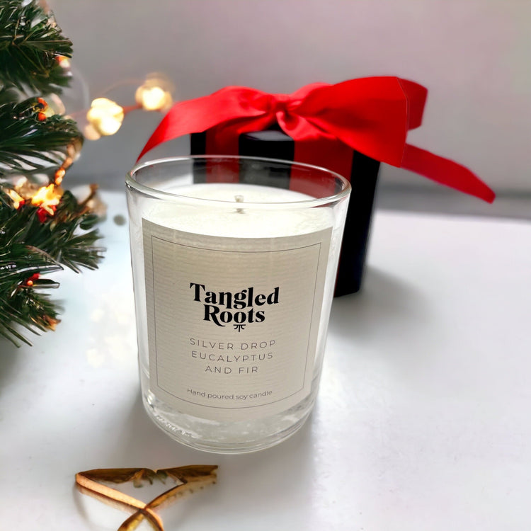 Christmas Gifts for Her Around £20 - Tangledroots.shop